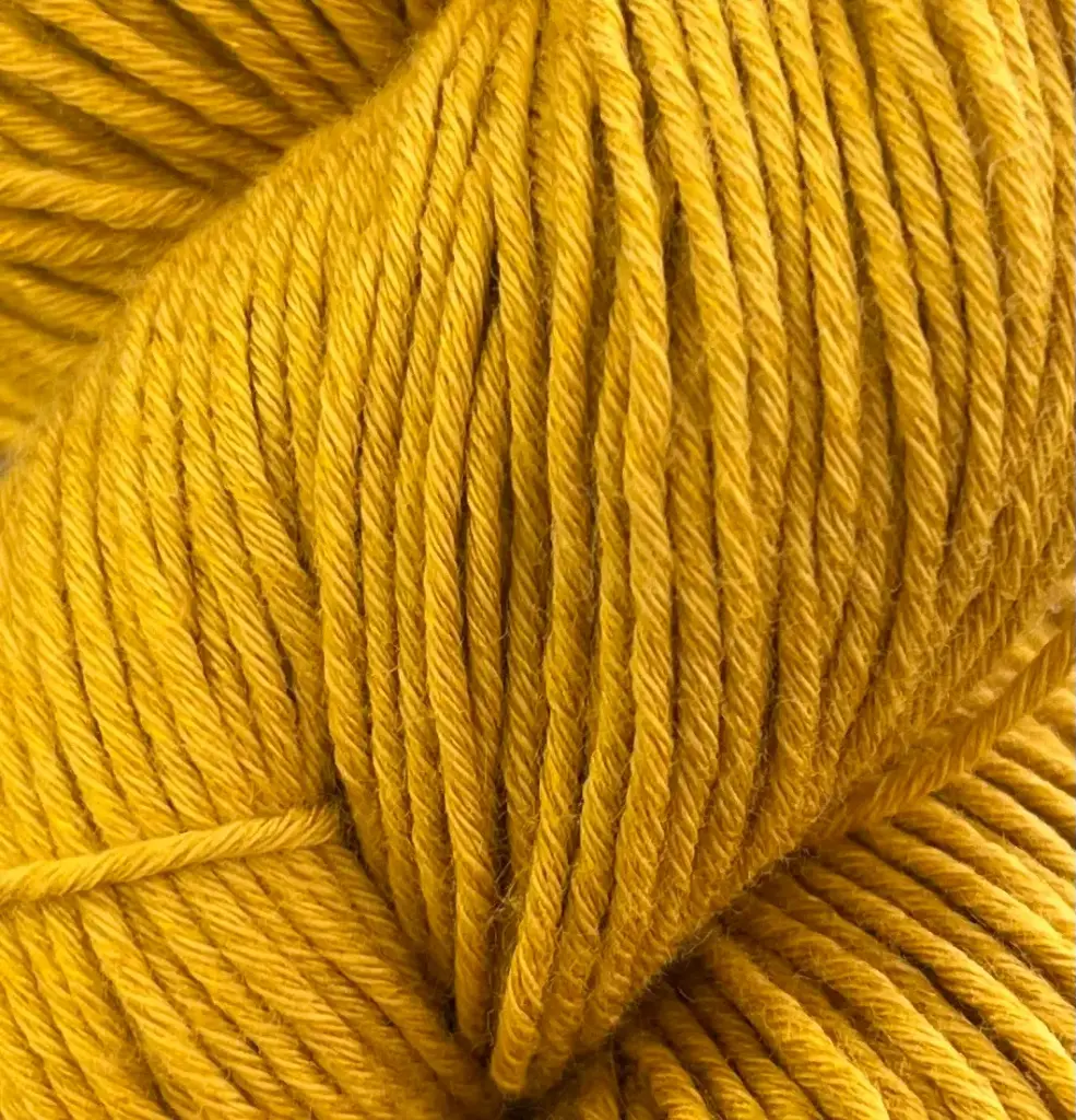Alga - 05 Mustard Seed