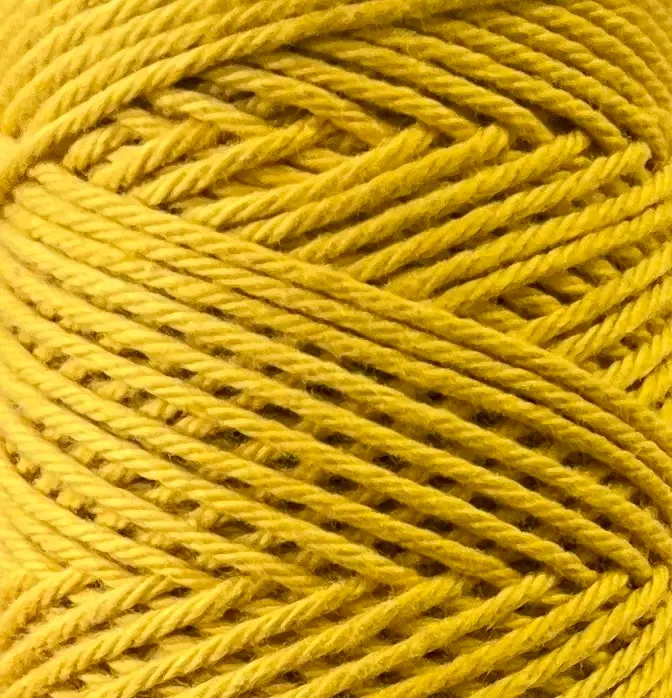 Coastal Cotton 1006 Goldenrod