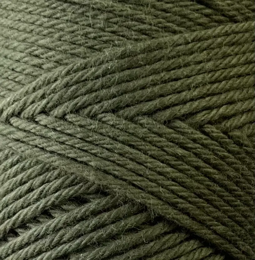 Coastal Cotton 1042 Seaweed