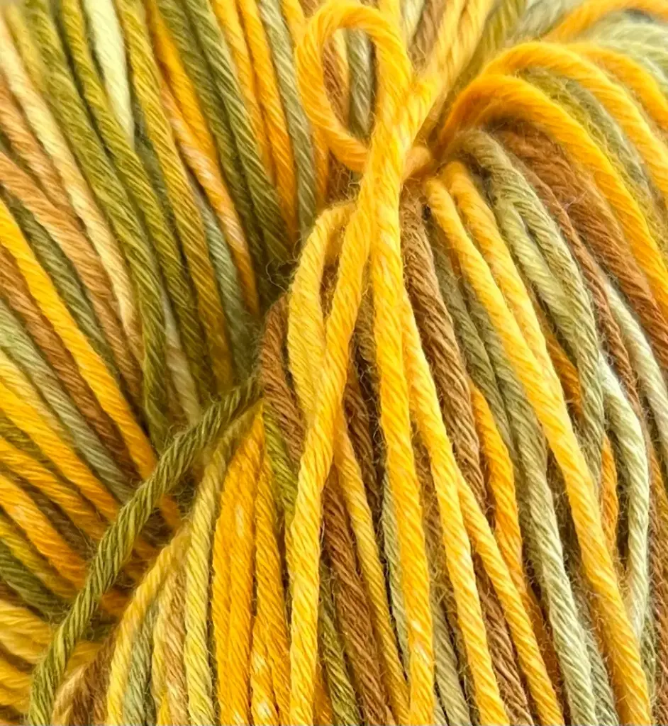 Alga - 110 Nature