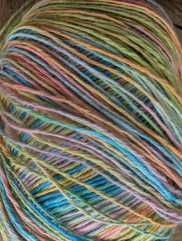 Carnival 101 El Rayo