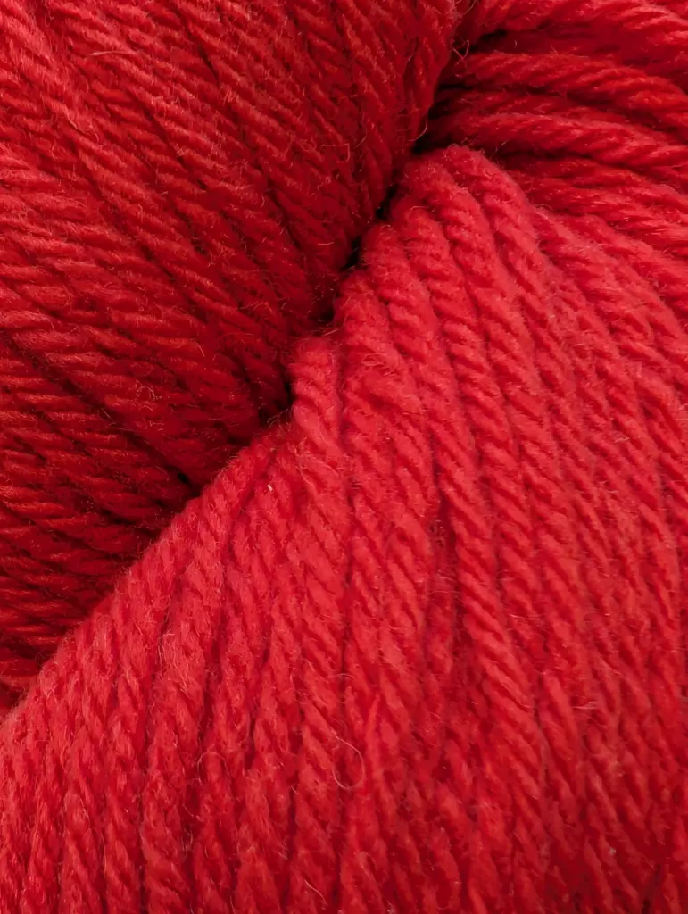 Santa Cruz 160 Red Delicious