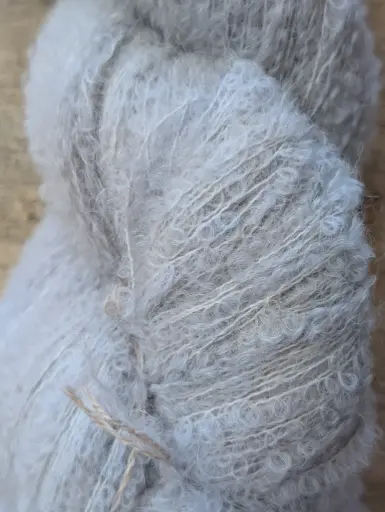 Loopy de Loop Falcon