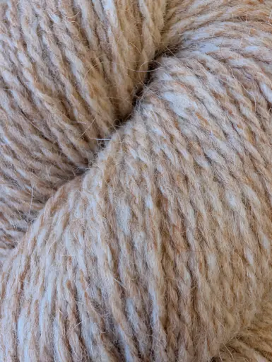 [PFP] Peace Fleece Palomino